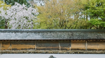 Noh Theatre